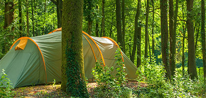 Tentes dans la forêt ardennaise